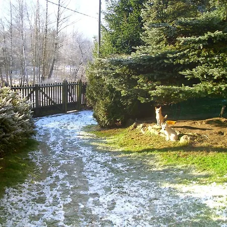 Homestay Ubytovani V Soukromi Salmov - Ceskosaske Svycarsko *